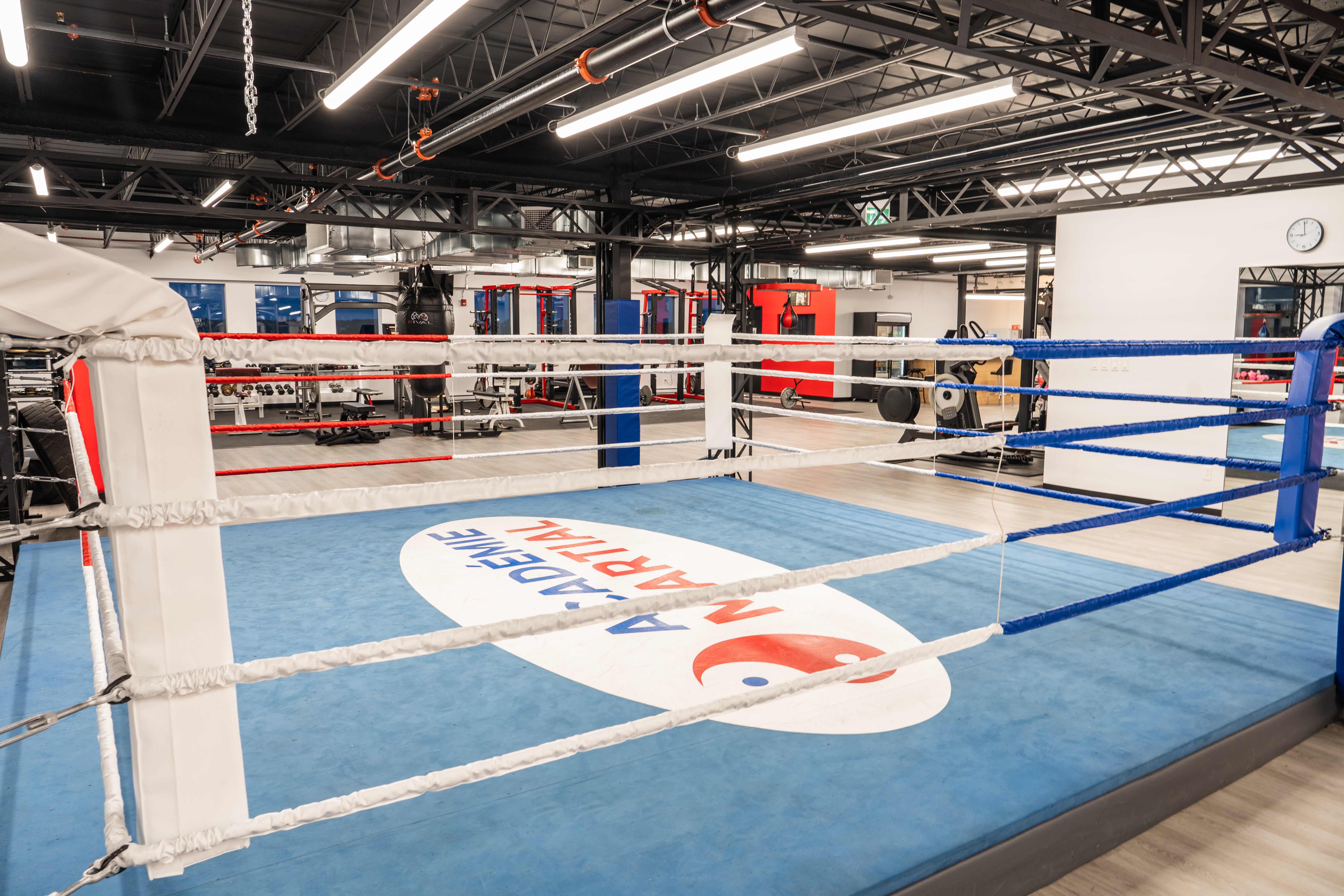 Ring de boxe et équipement de conditionnement physique de l'Académie Ness Martial